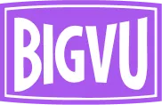 Official BIGVU logo